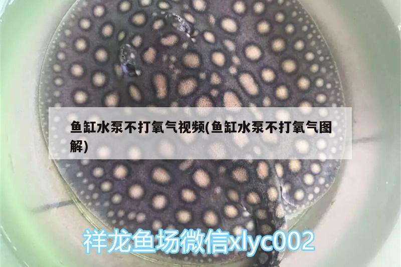 鱼缸水泵不打氧气视频(鱼缸水泵不打氧气图解) 鱼缸水泵