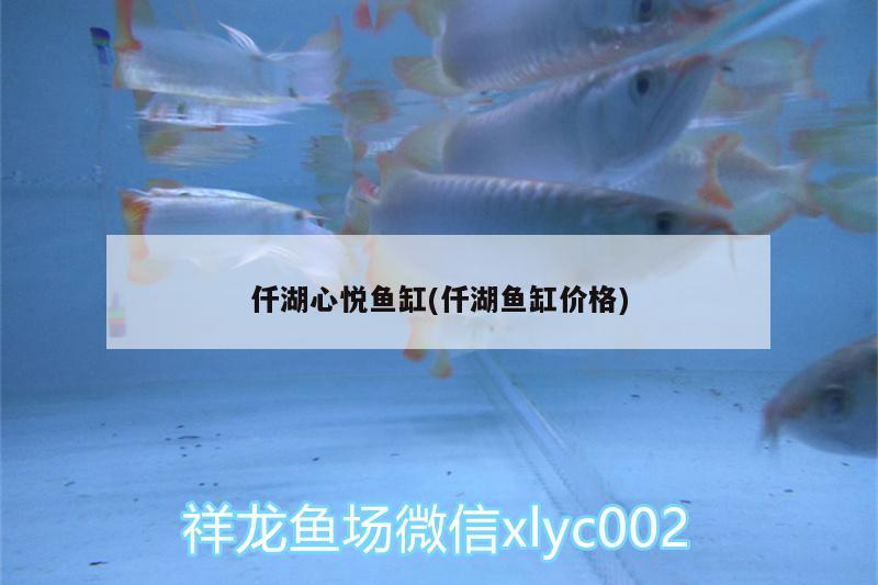 仟湖心悦鱼缸(仟湖鱼缸价格) 仟湖