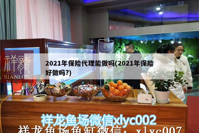 2021年保险代理能做吗(2021年保险好做吗?)