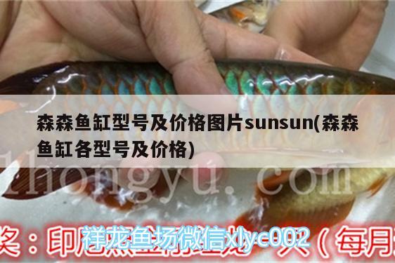 森森鱼缸型号及价格图片sunsun(森森鱼缸各型号及价格) 祥龙鱼场