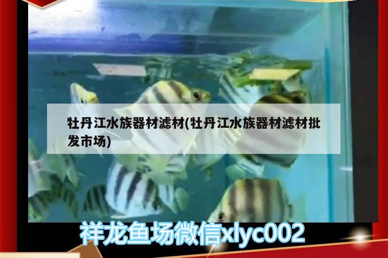 牡丹江水族器材滤材(牡丹江水族器材滤材批发市场) 广州水族器材滤材批发市场