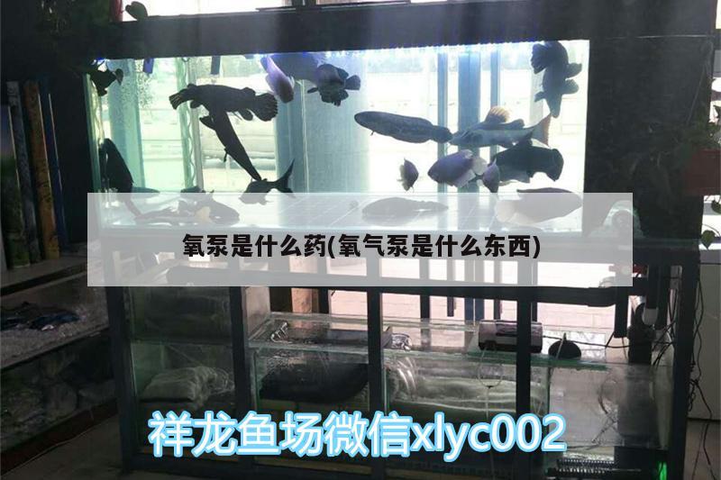 氧泵是什么药(氧气泵是什么东西)