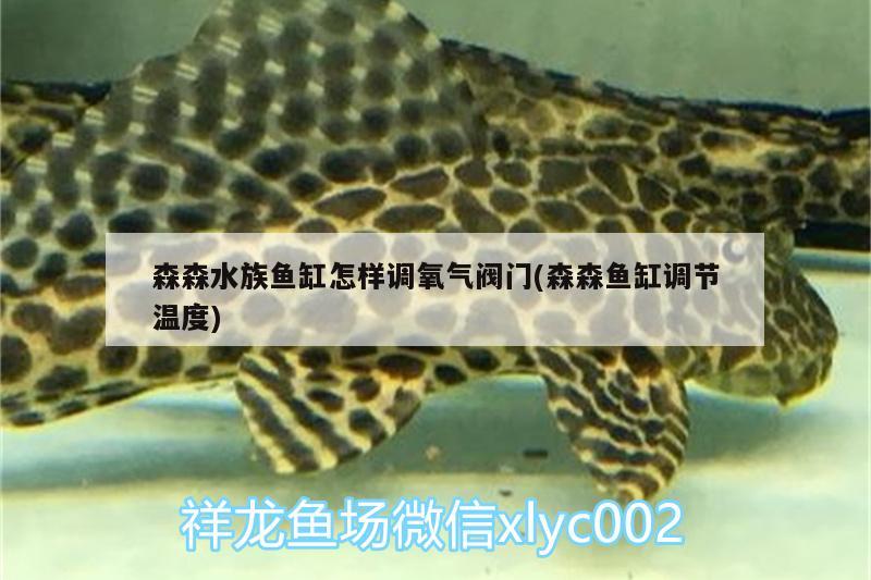 森森水族鱼缸怎样调氧气阀门(森森鱼缸调节温度) 杀菌消毒设备