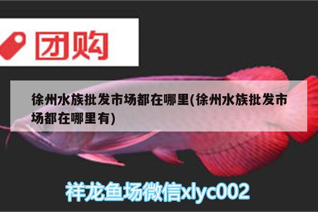 徐州水族批发市场都在哪里(徐州水族批发市场都在哪里有) 观赏鱼水族批发市场