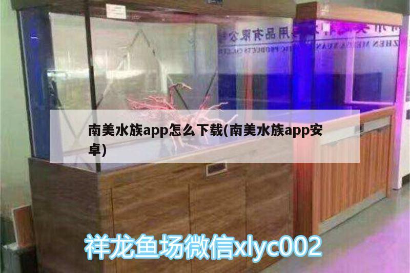 南美水族app怎么下载(南美水族app安卓) 慈雕鱼 第2张