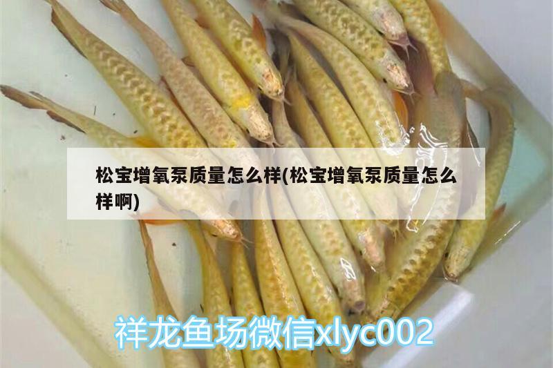 松宝增氧泵质量怎么样(松宝增氧泵质量怎么样啊)