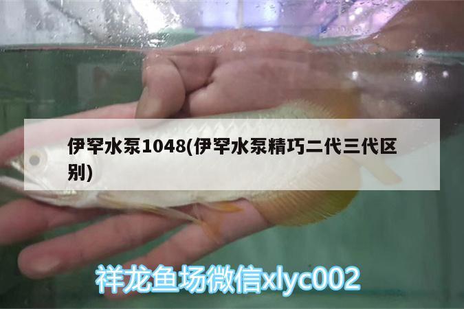 伊罕水泵1048(伊罕水泵精巧二代三代区别)