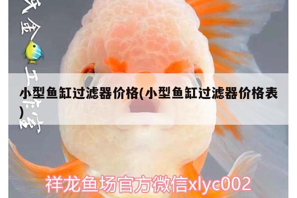 小型鱼缸过滤器价格(小型鱼缸过滤器价格表) 祥龙水族护理水