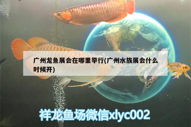 广州龙鱼展会在哪里举行(广州水族展会什么时候开)