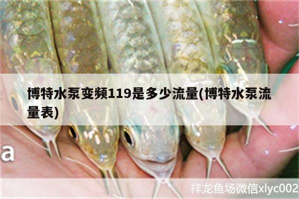 博特水泵变频119是多少流量(博特水泵流量表)