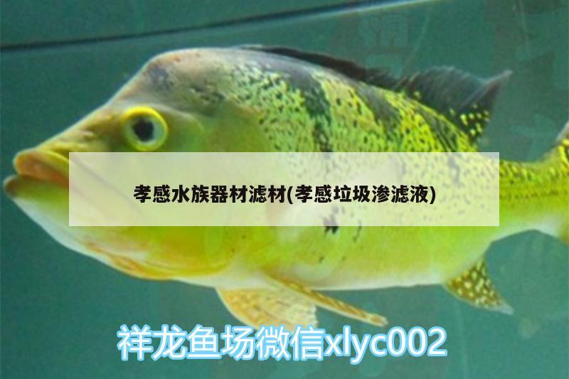 孝感水族器材滤材(孝感垃圾渗滤液)