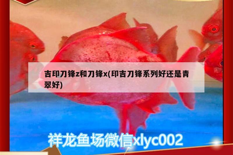 吉印刀锋z和刀锋x(印吉刀锋系列好还是青翠好) 吉印水族