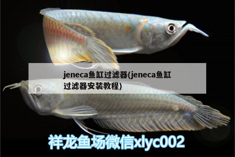 jeneca鱼缸过滤器(jeneca鱼缸过滤器安装教程)