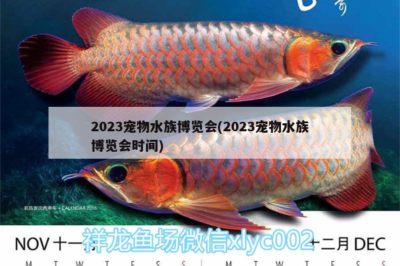 2023宠物水族博览会(2023宠物水族博览会时间)