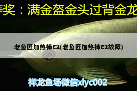 老鱼匠加热棒E2(老鱼匠加热棒E2故障) 老鱼匠