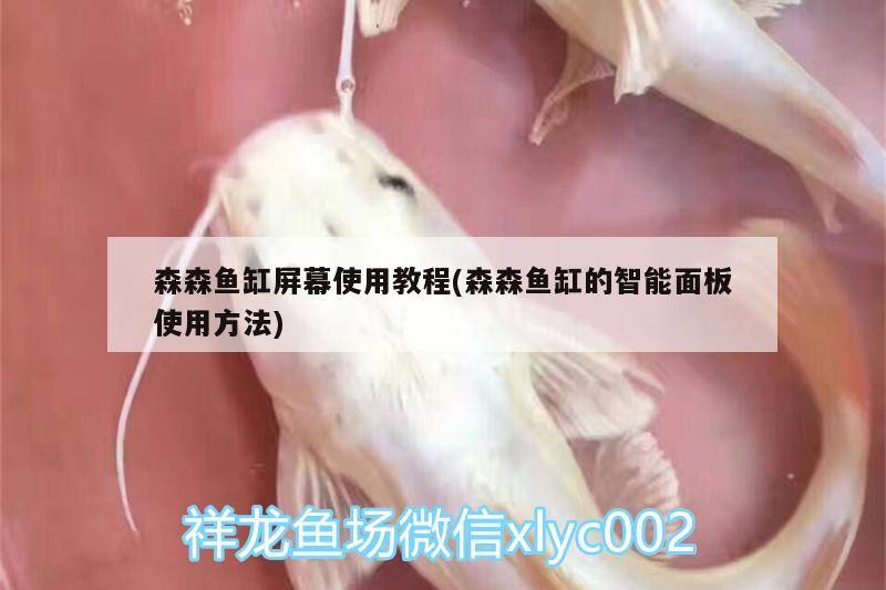 森森鱼缸屏幕使用教程(森森鱼缸的智能面板使用方法) 水族杂谈