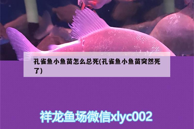 孔雀鱼小鱼苗怎么总死(孔雀鱼小鱼苗突然死了) 其他益生菌