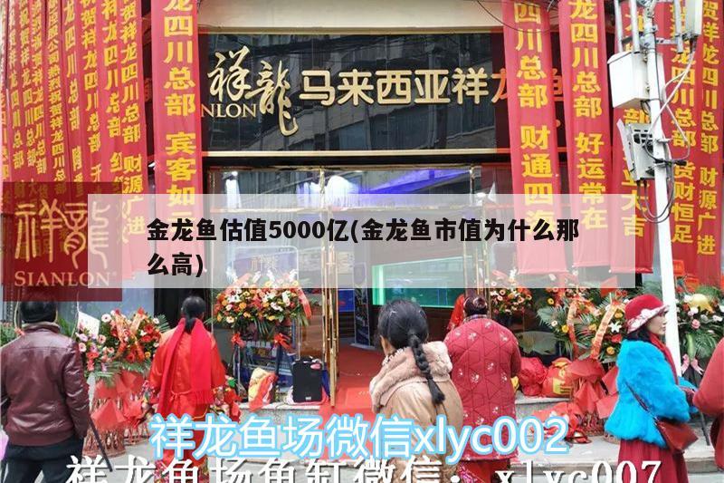 金龙鱼估值5000亿(金龙鱼市值为什么那么高)