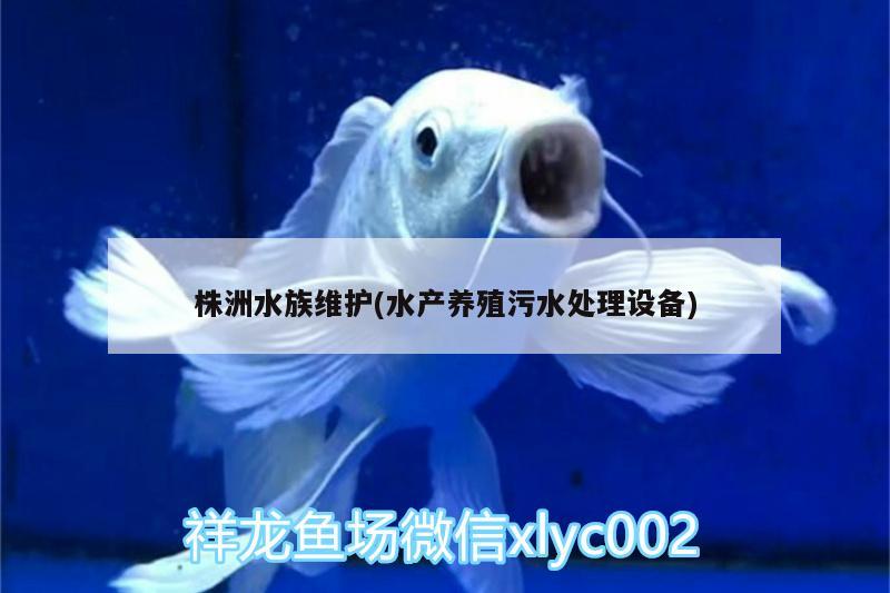 株洲水族维护(水产养殖污水处理设备)