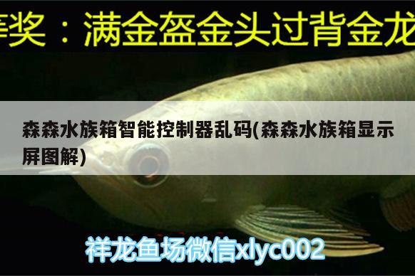 森森水族箱智能控制器乱码(森森水族箱显示屏图解) 鱼缸/水族箱