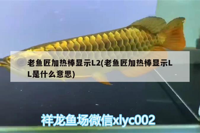 老鱼匠加热棒显示L2(老鱼匠加热棒显示LL是什么意思)