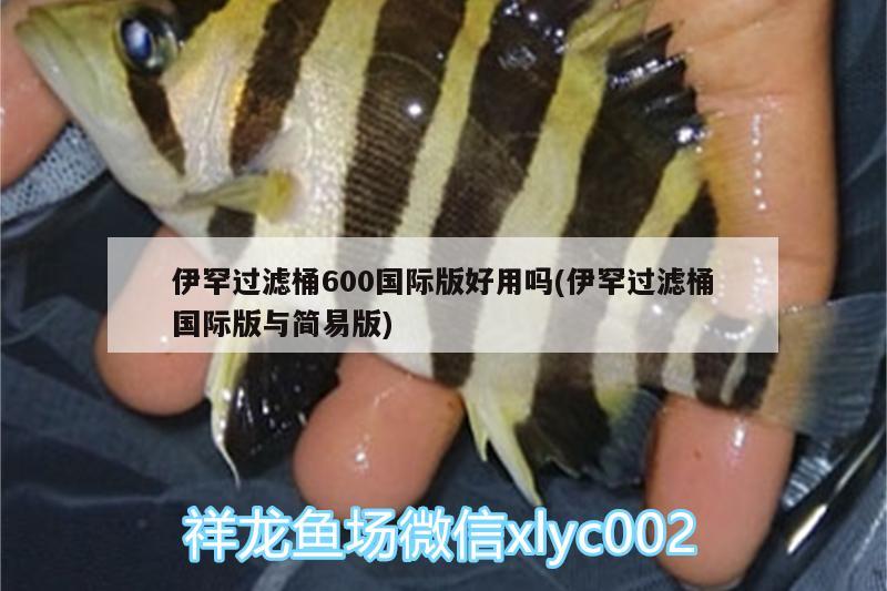 伊罕过滤桶600国际版好用吗(伊罕过滤桶国际版与简易版) 伊罕水族