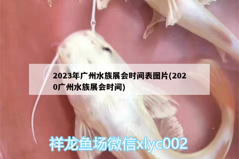 2023年广州水族展会时间表图片(2020广州水族展会时间)