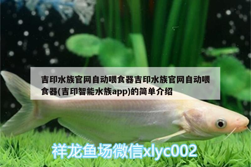 吉印水族官网自动喂食器吉印水族官网自动喂食器(吉印智能水族app)的简单介绍