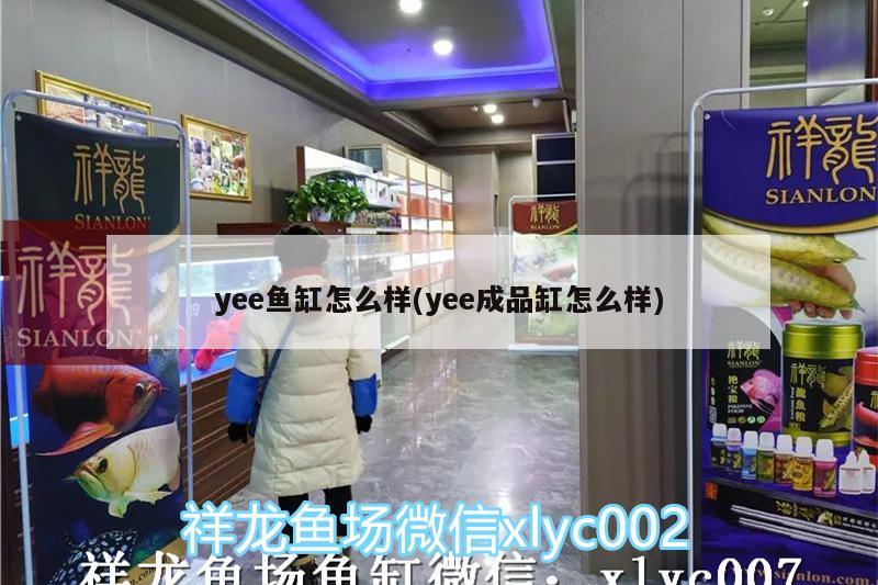 yee鱼缸怎么样(yee成品缸怎么样)