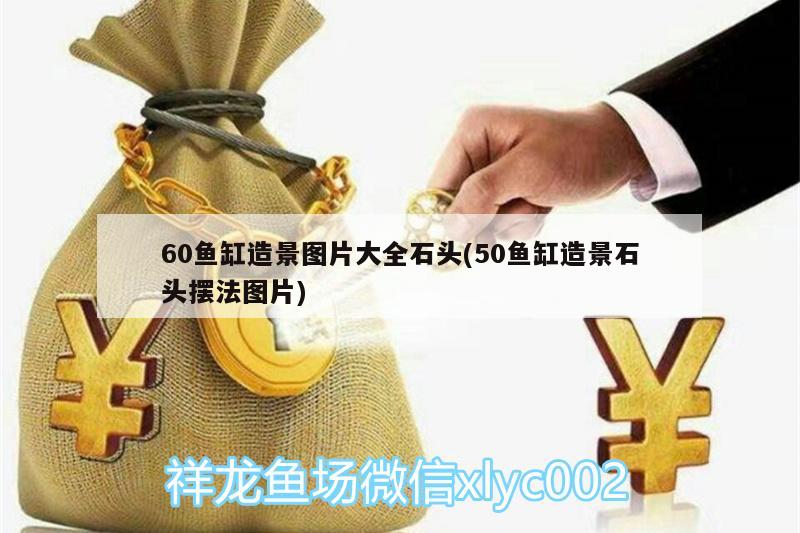 60鱼缸造景图片大全石头(50鱼缸造景石头摆法图片)