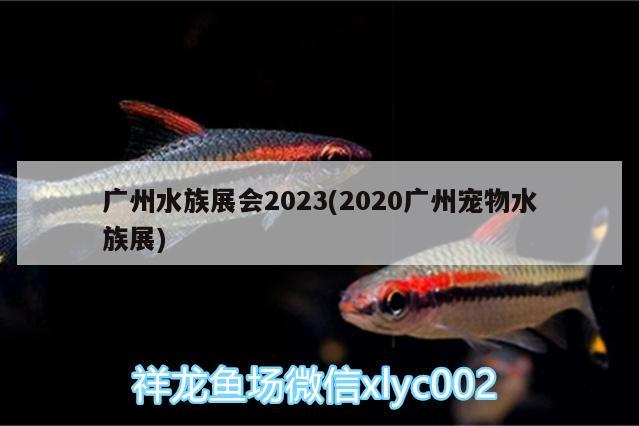 广州水族展会2023(2020广州宠物水族展)