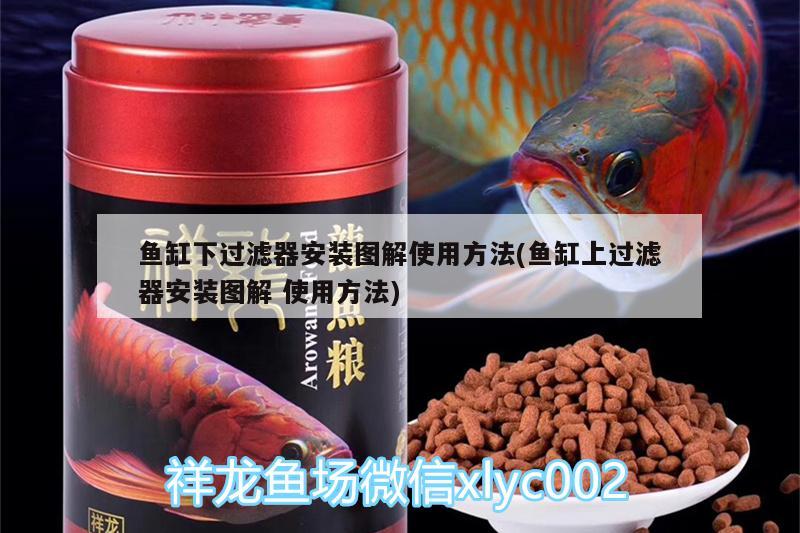 鱼缸下过滤器安装图解使用方法(鱼缸上过滤器安装图解使用方法)