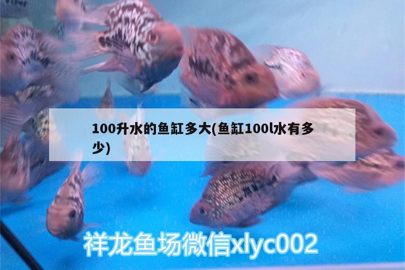 100升水的鱼缸多大(鱼缸100l水有多少) 朱巴利鱼