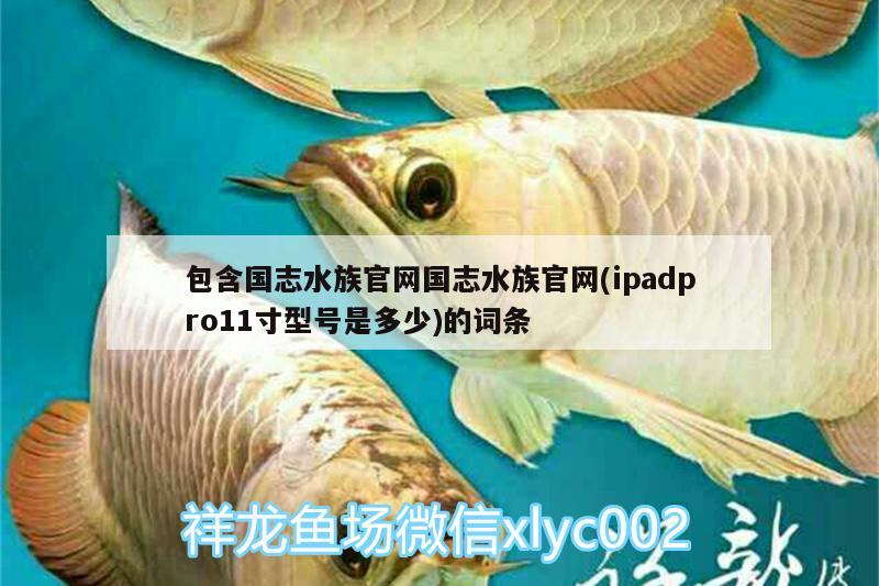 包含国志水族官网国志水族官网(ipadpro11寸型号是多少)的词条