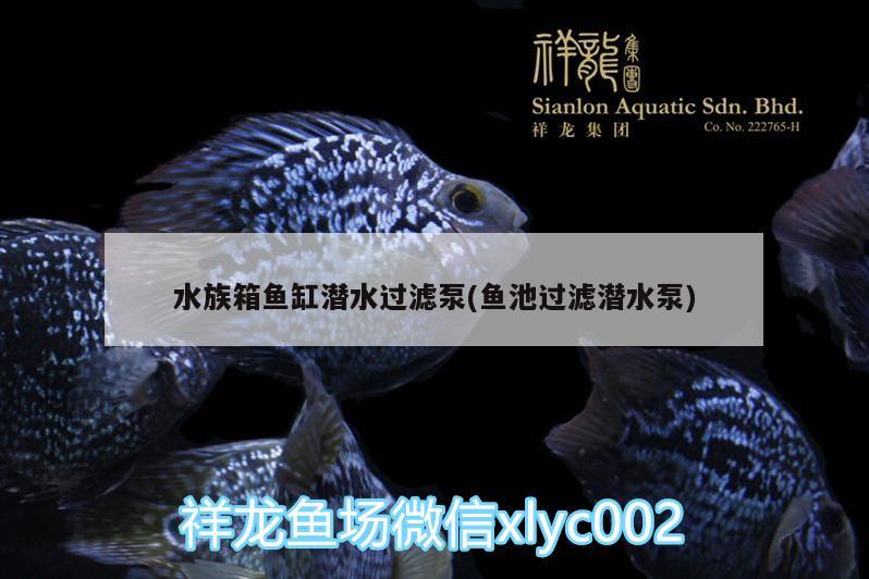 水族箱鱼缸潜水过滤泵(鱼池过滤潜水泵)