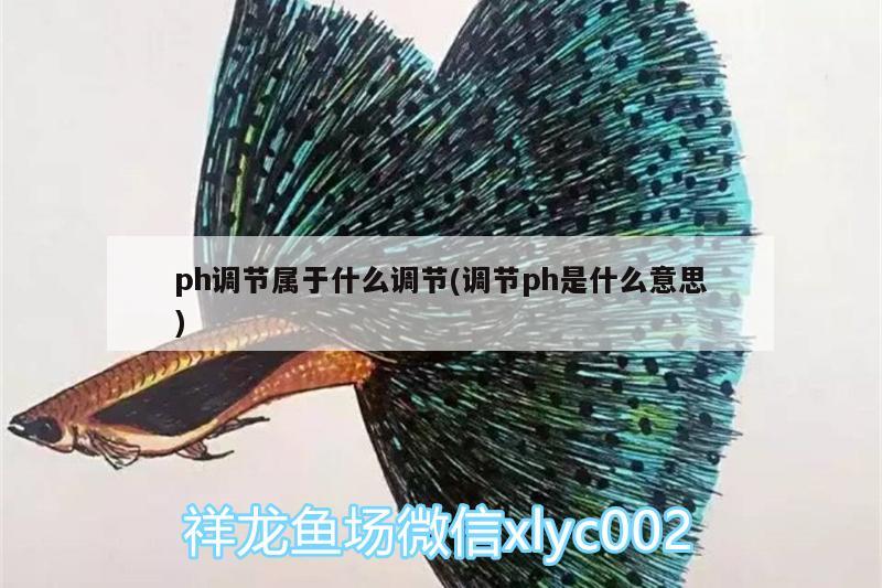 ph调节属于什么调节(调节ph是什么意思)