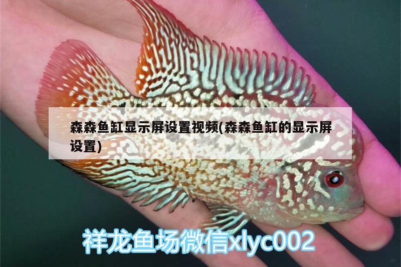 森森鱼缸显示屏设置视频(森森鱼缸的显示屏设置) 和尚鱼