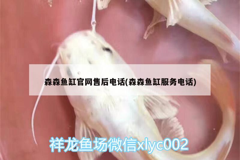 森森鱼缸官网售后电话(森森鱼缸服务电话)