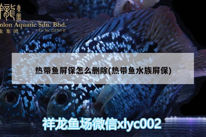 热带鱼屏保怎么删除(热带鱼水族屏保) 水族世界