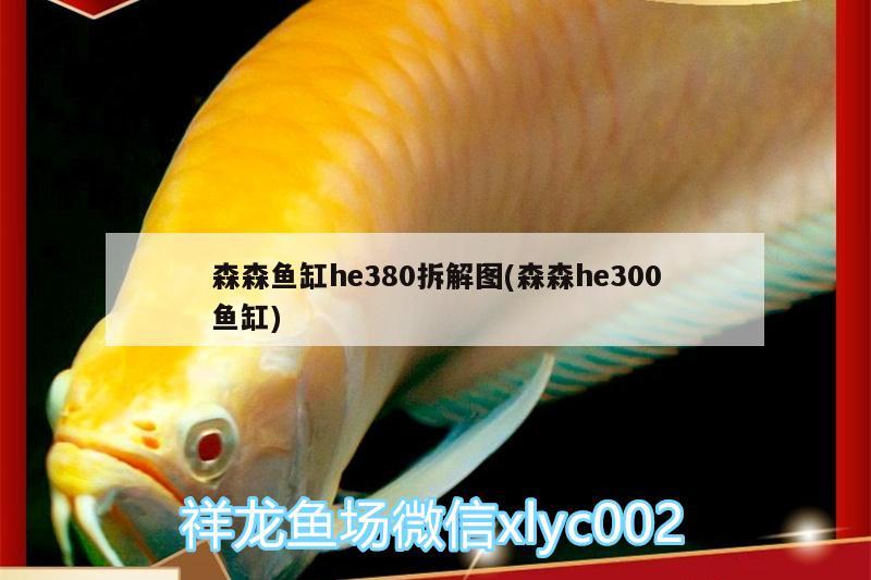 森森鱼缸he380拆解图(森森he300鱼缸)