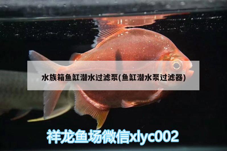 水族箱鱼缸潜水过滤泵(鱼缸潜水泵过滤器)