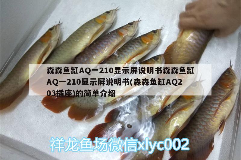 森森鱼缸AQ一210显示屏说明书森森鱼缸AQ一210显示屏说明书(森森鱼缸AQ203插座)的简单介绍 斑马狗头鱼