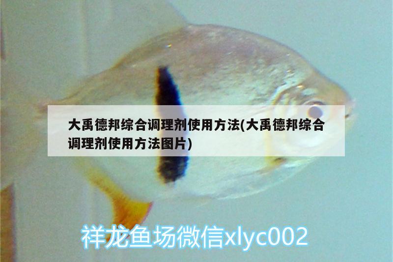 大禹德邦综合调理剂使用方法(大禹德邦综合调理剂使用方法图片)