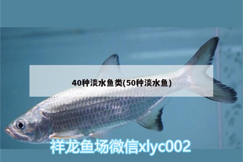 40种淡水鱼类(50种淡水鱼)