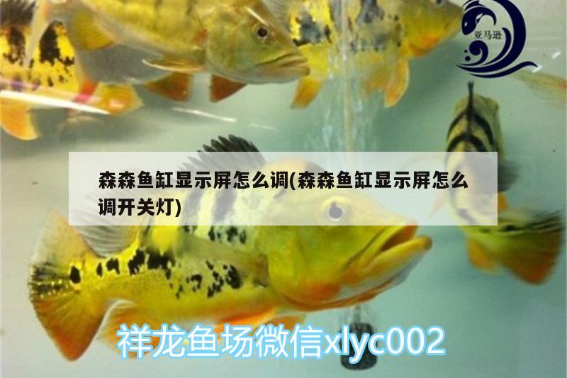 森森鱼缸显示屏怎么调(森森鱼缸显示屏怎么调开关灯) 充氧泵