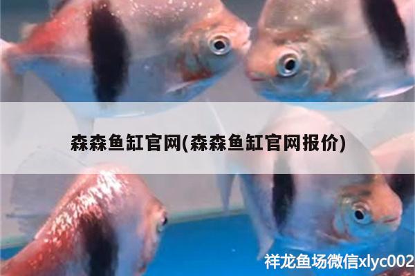 森森鱼缸官网(森森鱼缸官网报价) 祥禾Super Red红龙鱼