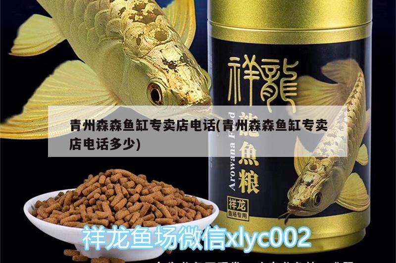 青州森森鱼缸专卖店电话(青州森森鱼缸专卖店电话多少) 罗汉鱼 第2张