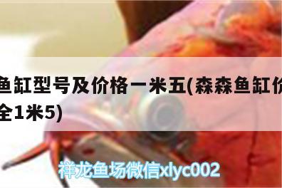 森森鱼缸型号及价格一米五(森森鱼缸价格图片大全1米5) 帝王三间鱼