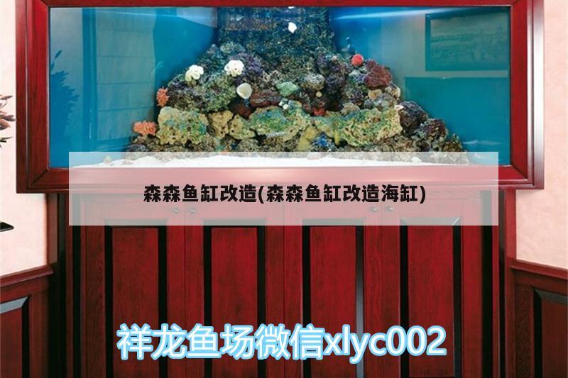 森森鱼缸改造(森森鱼缸改造海缸) 祥龙水族滤材/器材