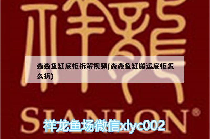 森森鱼缸底柜拆解视频(森森鱼缸搬运底柜怎么拆) 罗汉鱼批发